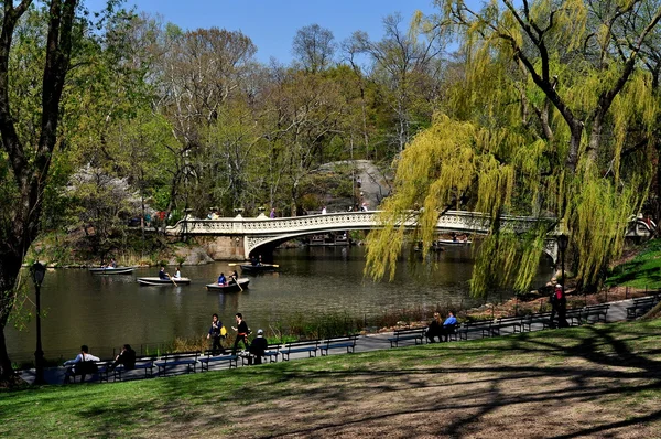 NYC: buigen brug in central park — Stockfoto