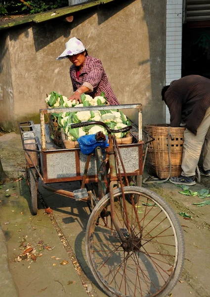 Pengzhou, China: Pareja con coliflores en carro de la bicicleta — Foto de Stock