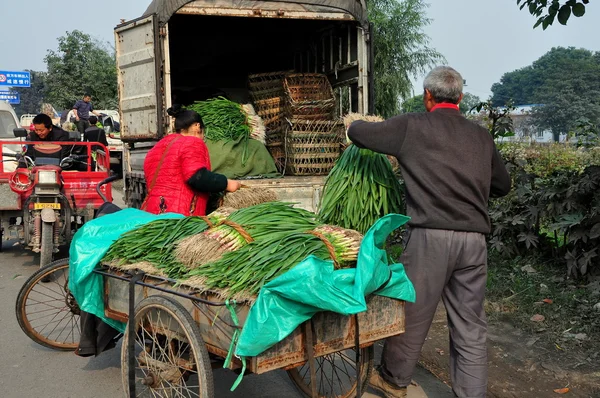 Pengzhou, China: Workers Loading Green Onions onto a Truck — Stock Photo, Image