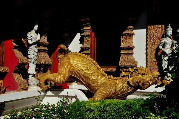 Chiang Mai, Thailand: Gilded Dragon at Wat Bupparam — Stock Photo, Image