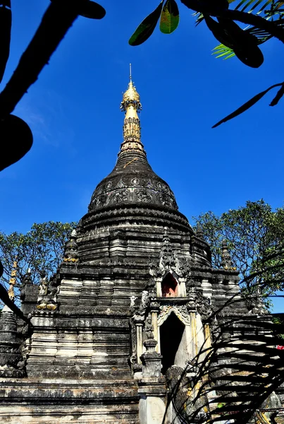 Chiangmai, Thailand: Chedi im Wat Pa Pao — Stockfoto