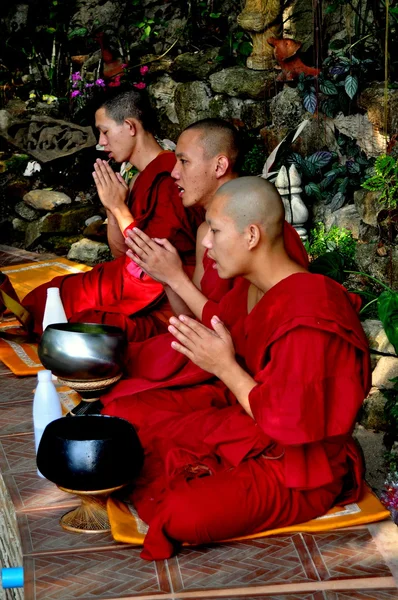 Chiang mai, Thailandia: monaci pregando al wat palad — Stock fotografie