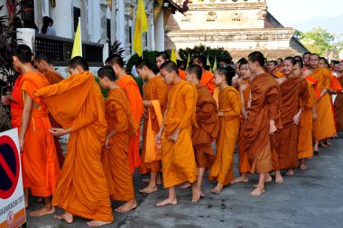 Chiang mai, Tayland: genç rahipler wat chedi luang at