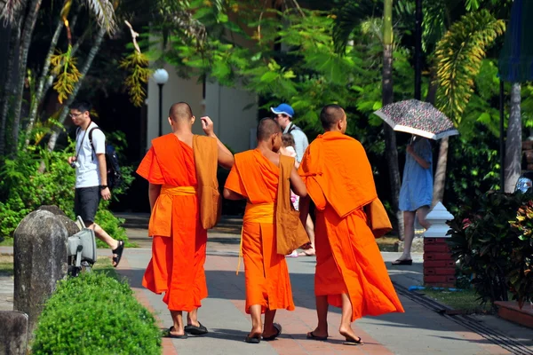 Chiang Mai, Thailand: Three Monks at Wat Phra Singh — Stock Photo, Image