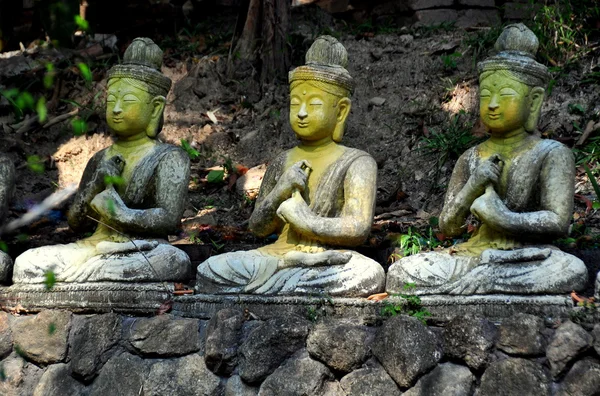 Chiang Mai, Thailand: Tre buddhaer med sete i Wat Palad – stockfoto