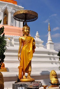 Chiang mai, Tayland: Buda wat changkam ayakta