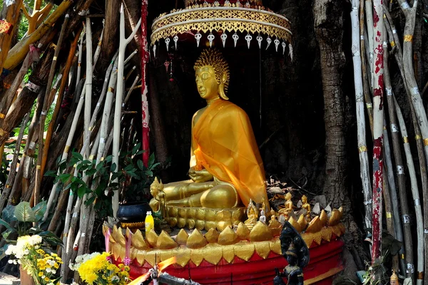 Chiang mai, thailand: verguld buddha achter wat changkam — Stockfoto