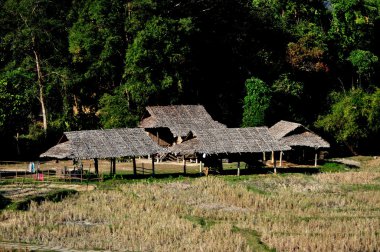 Chiang mai, Tayland: tepe kabile köy çiftlik binaları
