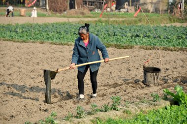 pengzhou, Çin: Fidan sulama kadın