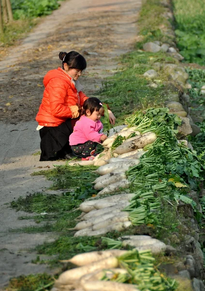 Pengzhou, China: Mutter und Tochter betrachten weiße Radieschen — Stockfoto