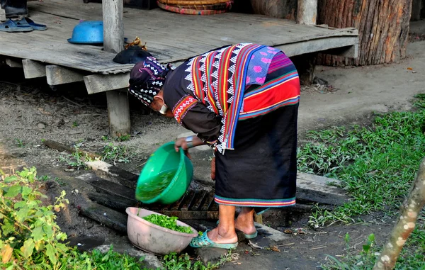 Chiang Mai, Thailand: Woman Washing Greens — Stock Photo, Image