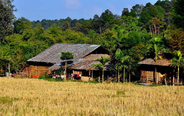 Chiang Mai, Thailand: Hill Tribe Village Farmhouses at Baan Tang Luan Cultural Village — Stock Photo, Image