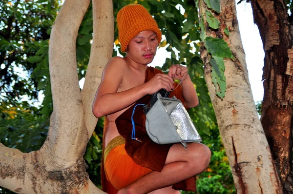 Chiang Mai, Tailandia: Monje adolescente en árbol instalando luz eléctrica —  Fotos de Stock