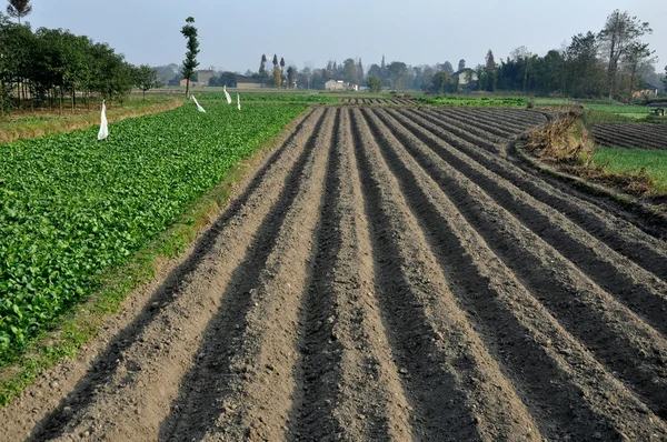 Pengzhou, China: Newly Plowed Fields on a Sichuan Province Farm — Stock Photo, Image