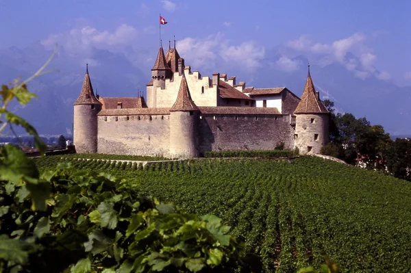 Aigle, Ελβετία: φεουδαρχικού κάστρου και αμπελώνες — Φωτογραφία Αρχείου
