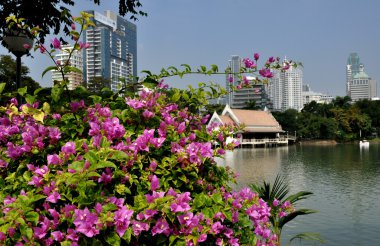 Bangkok, Tayland: lumphini park ve modern ofis kuleleri