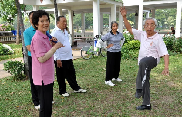 Bangkok, Tailandia: Personas que hacen tai 'chi en Lumphini Park —  Fotos de Stock