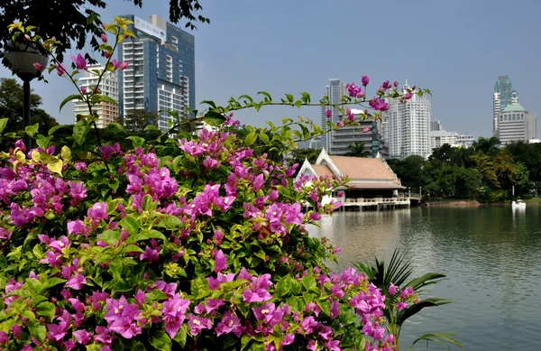 Bangkok, thailand: Lumphinee park och moderna kontor torn — Stockfoto