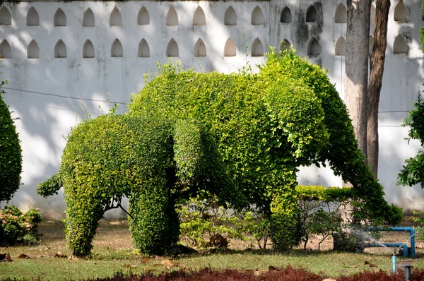 Lopburi, Thailand: Topiary Elephants at Wat Phra Narai Rananivej — Stock Photo, Image