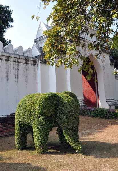 Lopburi,Thailand: Topiary Elephant at Wat Phra Narai Rachanivej — Stock Photo, Image