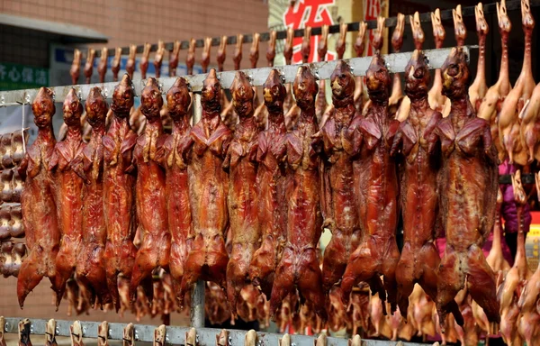 Pengzhou, China: Row of Dried, Pressed Rabbits — Stock Photo, Image