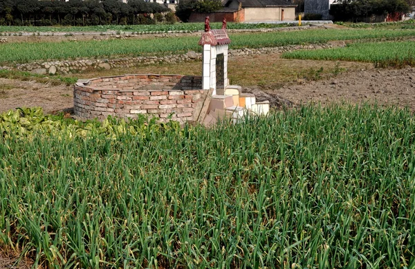 Pengzhou, China: Ancestral Tomb in Field of Garlic — Stock Photo, Image