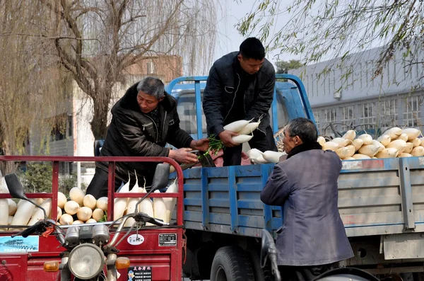 Pengzhou, China: Granjeros cargando rábanos —  Fotos de Stock