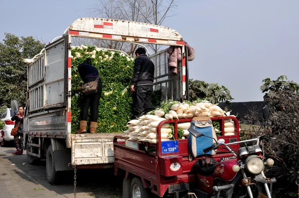 Pengzhou, China: Farmers Transferring Radishes at Market — Stock Photo, Image