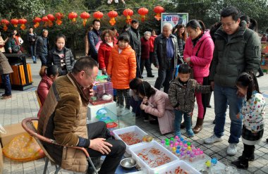 pengzhou, Çin: satıcının goldfish Şehir Parkı, arayan kişi
