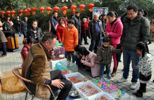 彭州市，中国： 看着供应商的金鱼在城市公园的人 — 图库照片