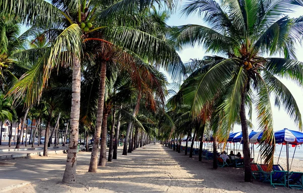 Bang saen, thailand: blick entlang strand und promenade — Stockfoto