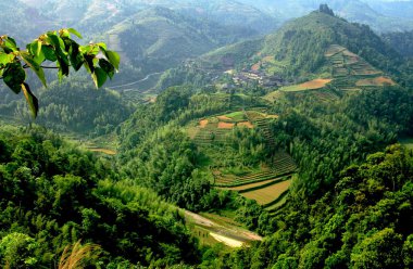 longsheng, Çin: dağ tarafı pirinç paddies içinde uzak manzara