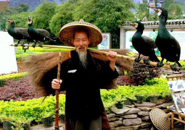 Yanshuo, Çin: karabatak kuşlar ile Çinli adam — Stok fotoğraf