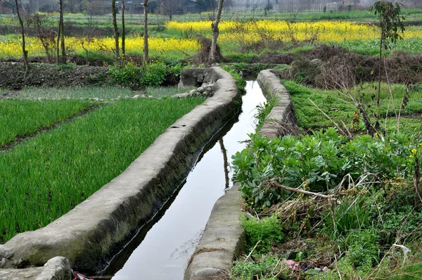 Pengzhou, china: Bewässerungskanal fließt durch Ackerland — Stockfoto