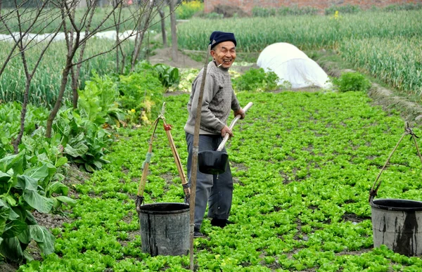 Pengzhou, Kina: bonde vattning grödor — Stockfoto