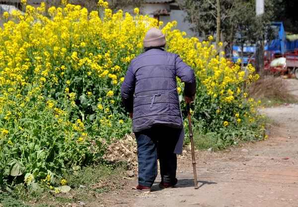 Pengzhou, china: oudere vrouw met stok — Stockfoto