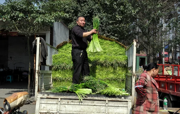 Pengzhou, Čína: dělníci s zelený česnek — Stock fotografie