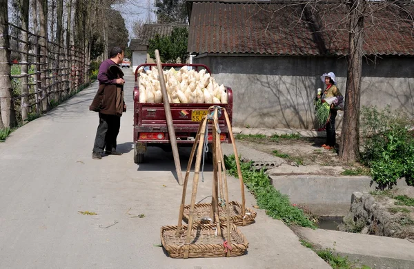 Pengzhou, china: Bauer mit weißen Radieschen — Stockfoto