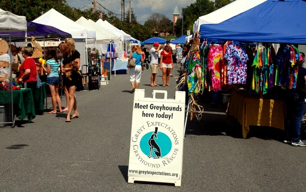 Леонардстоун, Мэриленд: Местный уличный фестиваль — стоковое фото