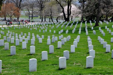 Arlington, va: graves arlington Ulusal Mezarlığı