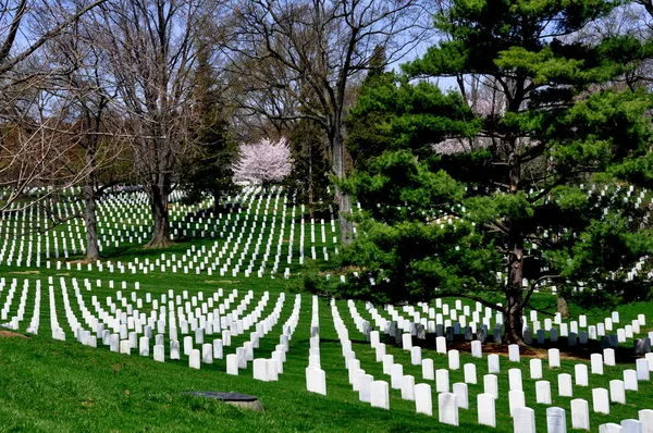 Arlington, VA: Graves at Arlington National Cemetery — Stock Photo, Image