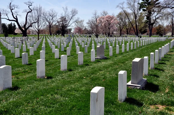 Arlington, VA: Gravesites no Cemitério Nacional de Arlington — Fotografia de Stock