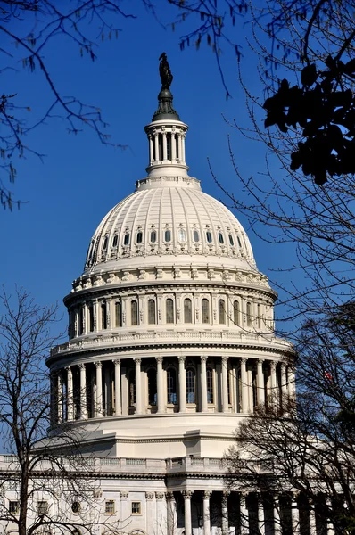 Washington, dc: US capitol building — Stockfoto