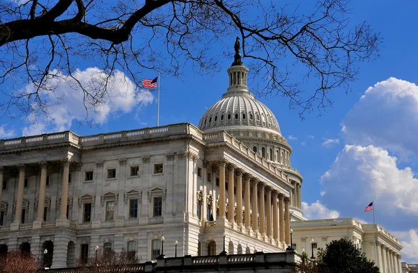 Washington, DC: Edifício do Capitólio dos EUA — Fotografia de Stock