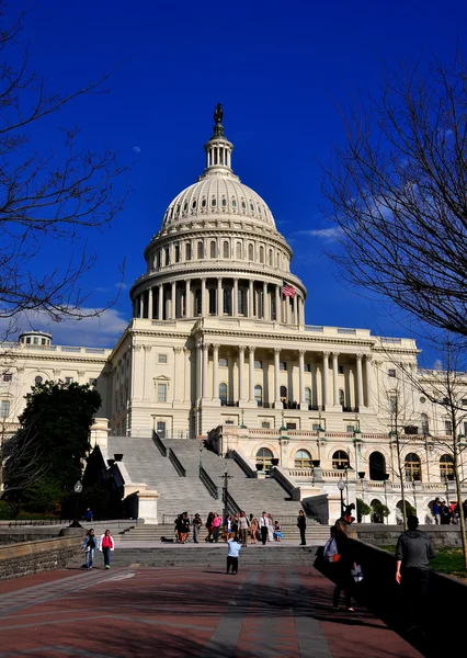 Washington, DC: U.S. Capitol Building — Stock Photo, Image