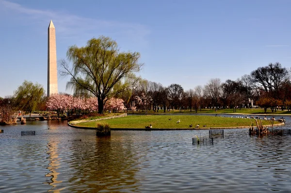 Washington, dc: blick zum washington monument — Stockfoto