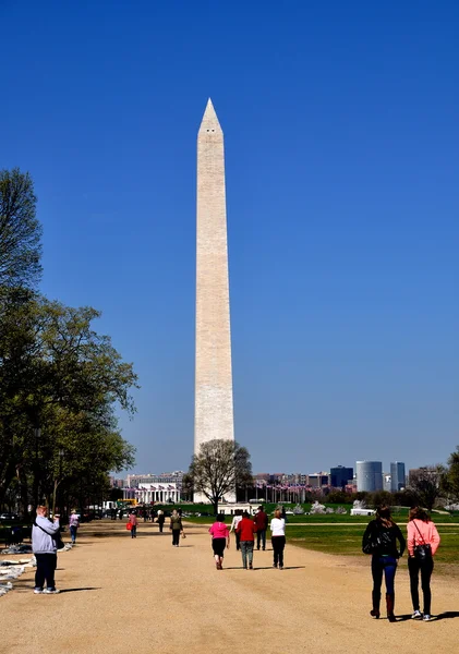 Washington, dc: washington monument — Stockfoto