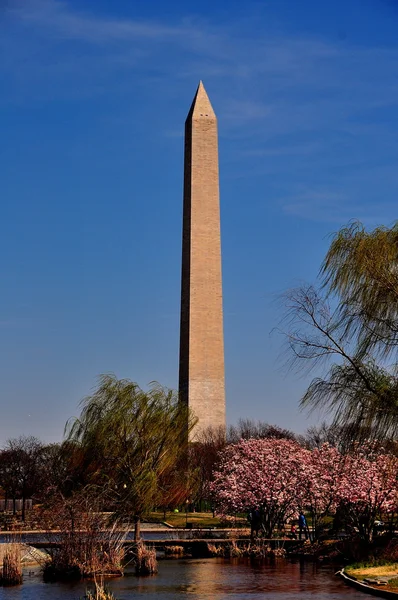 Washington, DC: The Washington Monument — Stock Photo, Image