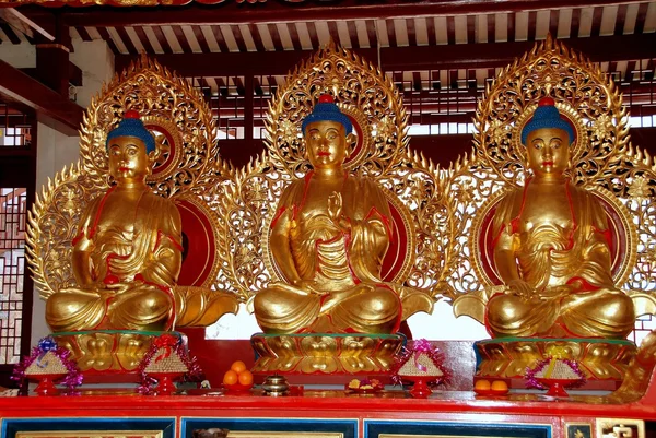 Penang, malaysia: vergoldete Buddhas im chinesischen Tempel — Stockfoto