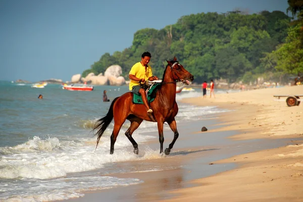 Batu Ferringhi, Malaysia: Malay Man Riding Horse on Beach — Stock Photo, Image